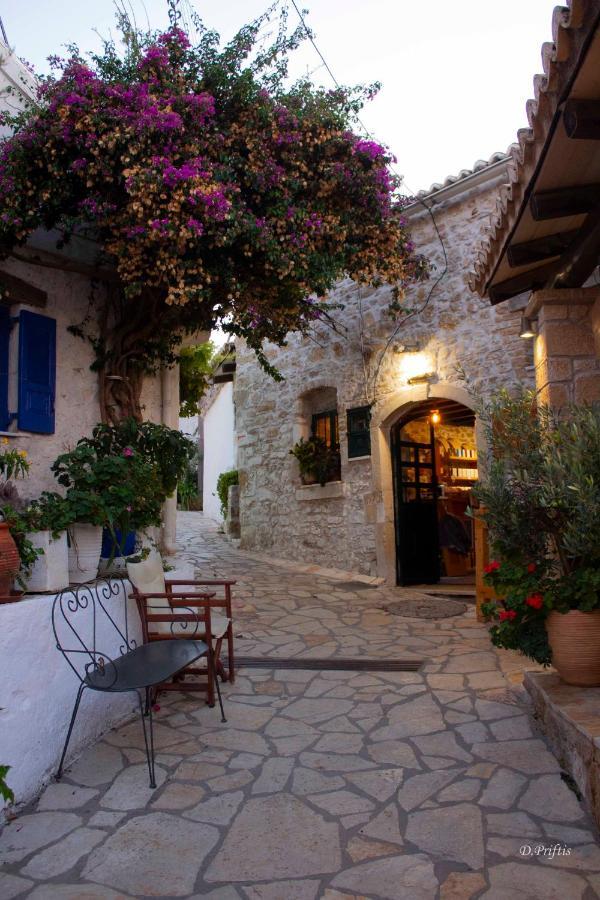 Villa Christine Afionas Corfu Exterior foto
